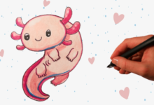 Cute:3bn4iyqag_E= How to Draw a Axolotl