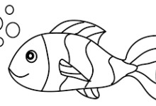 Cute:0y8wcr5wsb0= How to Draw a Fish