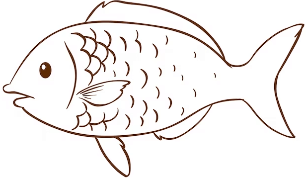 Cute:0y8wcr5wsb0= How to Draw a Fish