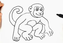 Outline:2mn7gemndqm= Monkey Drawing