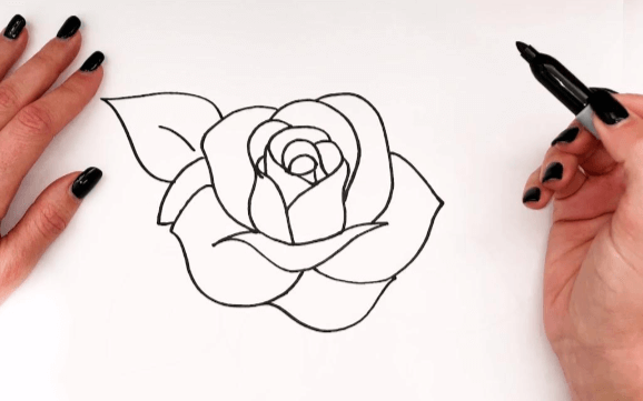 Outline:5lvuzffno7u= Rose Sketch