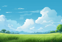 Background:71zebgbaw5m= Grass