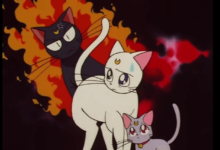 Anime:4zgysbobu-8= Tuxedo Cat