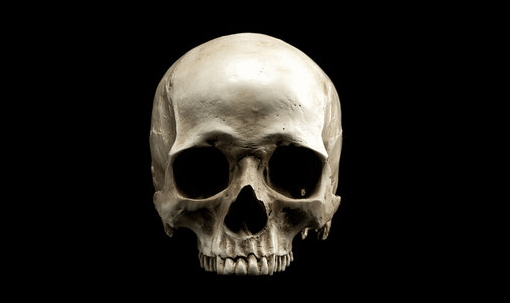 Simple:5xpshpbdut8= Skull