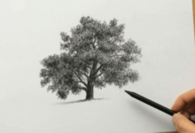 Simple:4hlllztx2mk= Tree Sketch