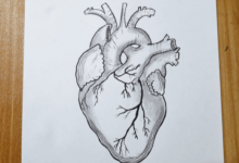 Drawing:Zo8refkptis= Easy:5dv9s_Rnwia= Heart