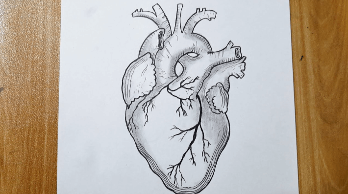 Drawing:Zo8refkptis= Easy:5dv9s_Rnwia= Heart