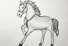 Drawing:V74uyhgg9tq= Easy:5kevyjjk7t0= Horses