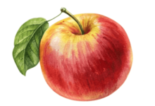 Clipart:Kptnpg_7hxw= Apple