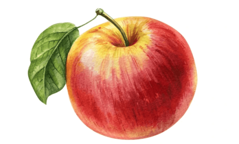 Clipart:Kptnpg_7hxw= Apple