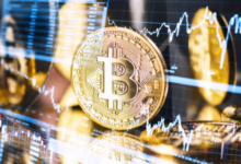 Where to Hire a Cryptocurrency Recovery Service: A Trusted Guide