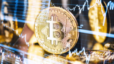 Where to Hire a Cryptocurrency Recovery Service: A Trusted Guide