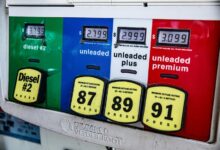 apex surge start 9168975088