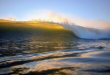 fusion crest shaping horizons