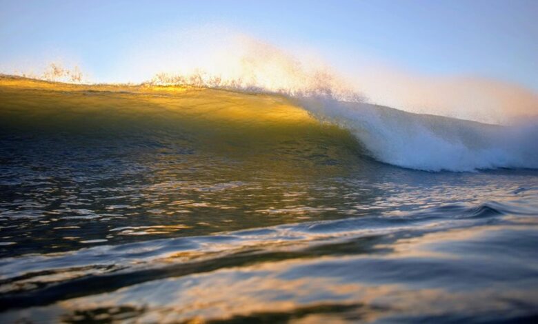 fusion crest shaping horizons