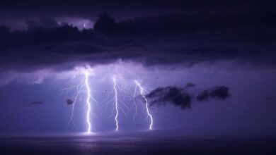 fusion surge drives market innovation