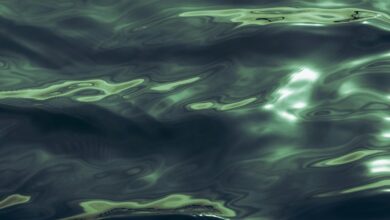 luminous flow drives strategy potential