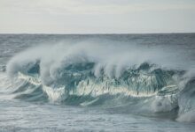 luminous surge start 9104550722