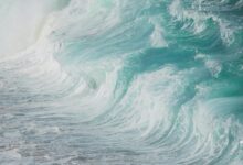 luminous wave drives impact