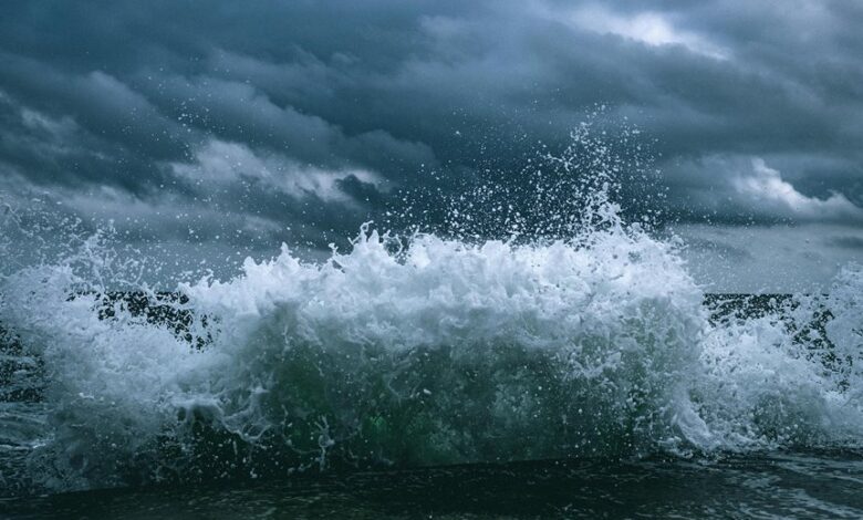 momentum surge start market potential