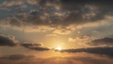 quantum radiance ignites horizons ahead