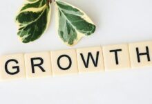 quantum surge start unlocking growth