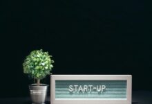 stellar surge start innovation drive