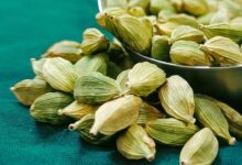 culinary cardamom spice queries