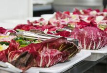 nutrition digestion queries portal summary