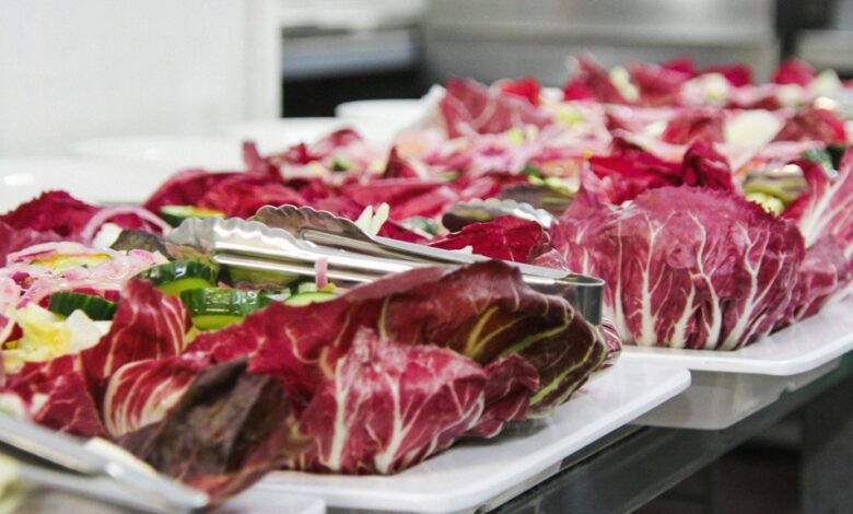 nutrition digestion queries portal summary