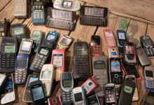 phone spam call nuisance reports