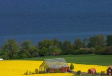 swedish language keyword research hub