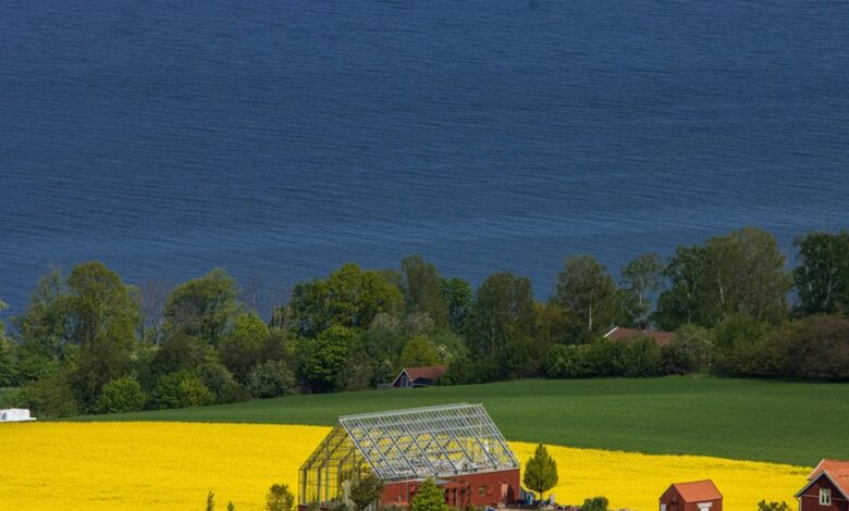 swedish language keyword research hub