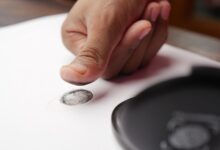 account numbers inspection details