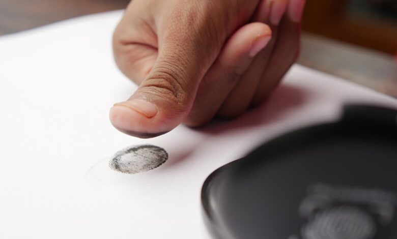 account numbers inspection details