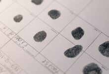 inspect specific number lookup records
