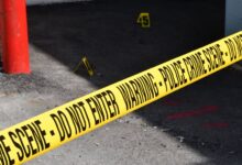 registry entries investigation ids listed